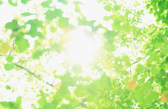 死海のミネラルでプルプルお肌が蘇る！自然療法で美と健康を！SUMIREのミネラルたっぷりフェイシャル♪